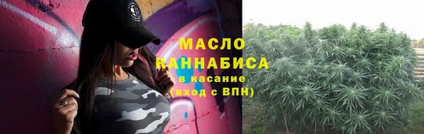 соль ск Каменка