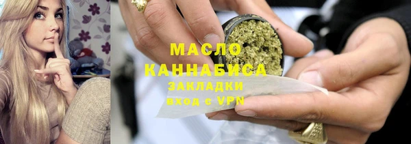 соль ск Каменка