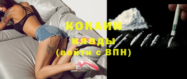 соль ск Каменка