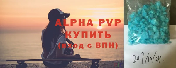 соль ск Каменка