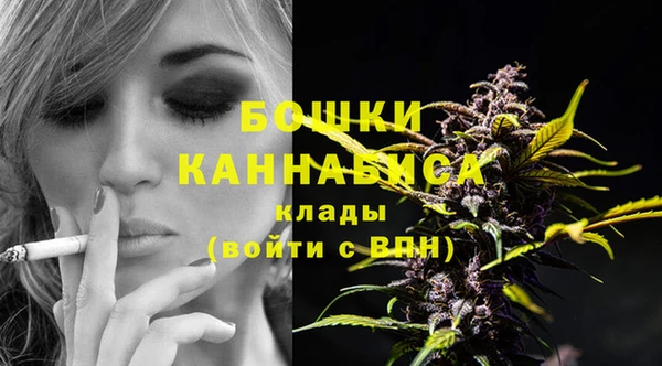 соль ск Каменка