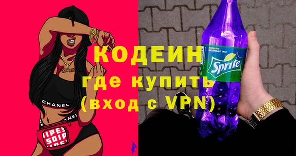 соль ск Каменка